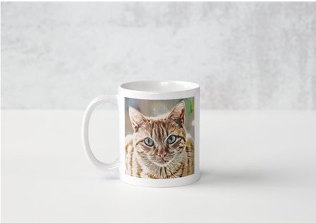 mug cat