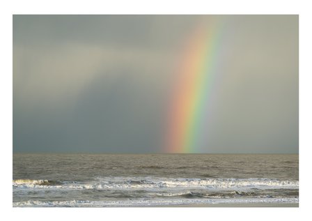 prachtige regenboog in zee - aluminium