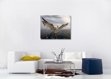 D&eacute;coration murale Oiseaux en mer - Acrylglas