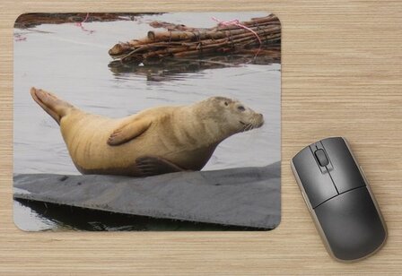 mouse pad - seal is resting