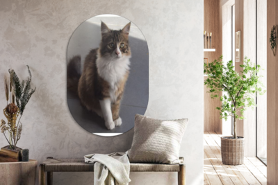 Wall decoration Metal - Aluminum Painting Industrial - cat - Luxury - 30x20 cm - Dibond - Photo on aluminum - Industrial wall decoration - For 