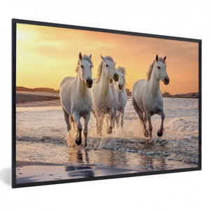 Poster with frame - Horses - Sun - Sea - Beach - Animals - Landscape