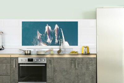 nautische Küchenrückwandtapete - maritime Souvenirs - wasserabweisend - Delfine - Meer - Küchenwand - Dekoration - Souvenirs aus dem Meer