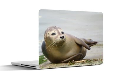Laptop sticker - Zeehond - Natuur - Laptopstickers - Laptop skin - Laptop Cover - souvenirs from the sea