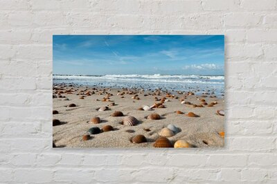 akoestisch canvas met foto - de kust - strand - schelpen - zee - Akoestische Panelen - Geluidsisolatie - Akoestisch Wandpaneel - Wanddecoratie