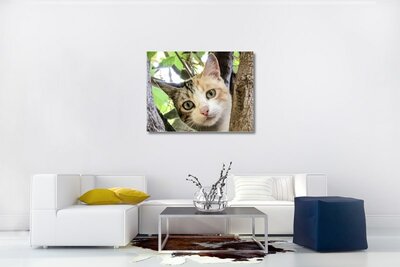 Leinwandgemälde Hauskatze - Katze - Raumdekoration - Gemälde auf Leinwand - Wanddekoration