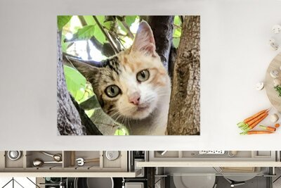 Induktionsschutz „Katze schaut zwischen den Bäumen“ – Abdeckplatte für Kochfeld – Induktionsmatte