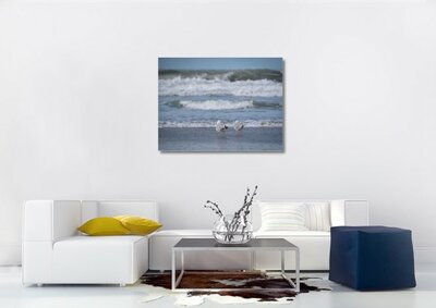 Lienzo - Gaviotas en la playa y el mar - Pintura fotográfica sobre lienzo (Decoración de pared sobre lienzo)