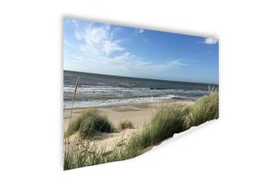 cartel dunas - hierba - playa - mar - recuerdo de sus vacaciones en el mar - recuerdos del mar