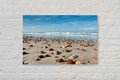 akoestisch canvas met foto - de kust - strand - schelpen - zee - Akoestische Panelen - Geluidsisolatie - Akoestisch Wandpaneel - Wanddecoratie