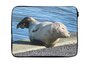 Laptop Sleeve - zeehond - Zachte binnenkant | Luxe Laptophoes - Kwaliteit Laptop Sleeve met foto - Souvenirs from the sea_