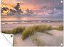 Gartenposter - Sonnenuntergang - Düne - Strand - Pflanzen - Meer - Landschaft - Verschönert Ihren Garten!_