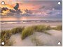 Garden poster - Sunset - Dune - Beach - Plants - Sea - landscape - Brightens up your garden!_