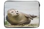 Nautische Laptop sleeve - zeehond - Zachte binnenkant - Maritieme Luxe Laptophoes - Kwaliteit Laptop Sleeve met foto - Souvenirs from the sea_